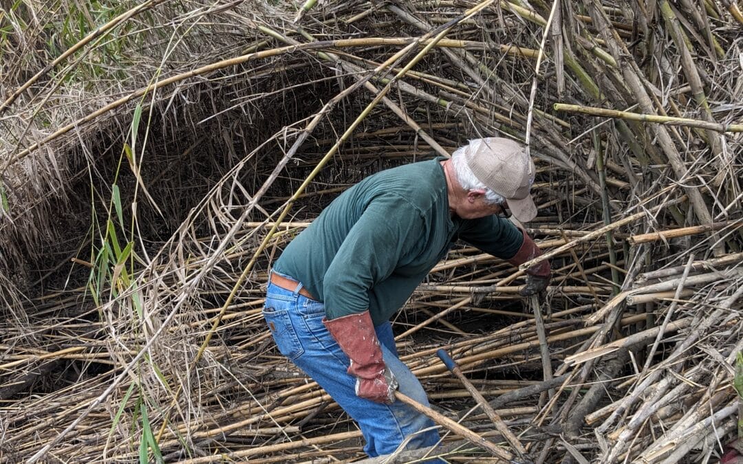 Arundo Clean Up – March 9, 2024